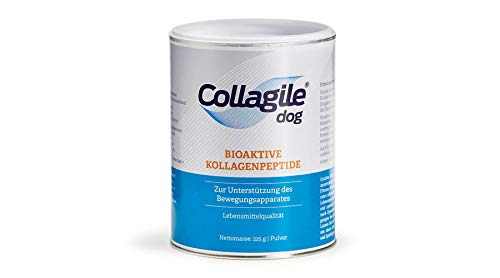 Collagile Dog - Bioaktive Kollagenpeptide