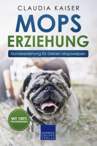 Mops Erziehung: Hundeerziehung für Deinen Mopswelpen