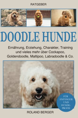 Doodle Hunde: Ernährung, Erziehung, Charakter, Training und vieles mehr