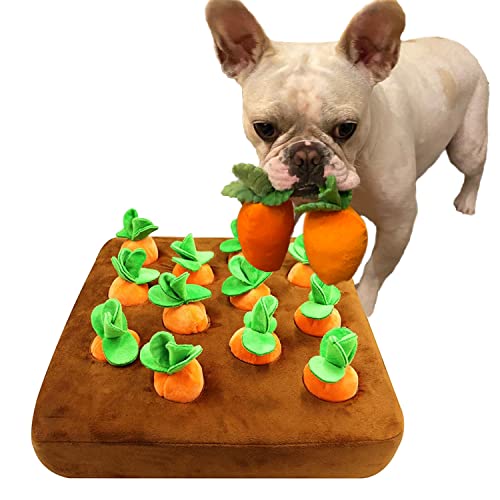 Schnüffelspielzeug für Hunde Karotte