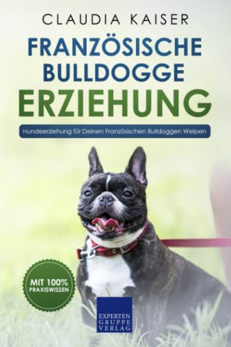 Französische Bulldogge Erziehung: Hundeerziehung für Deinen Französische Bulldoggen Welpen