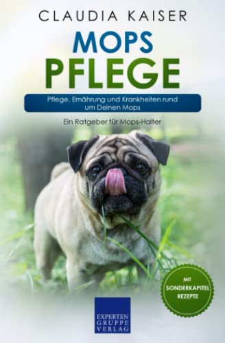 Mops Pflege: Pflege, Ernährung und Krankheiten rund um Deinen Mops