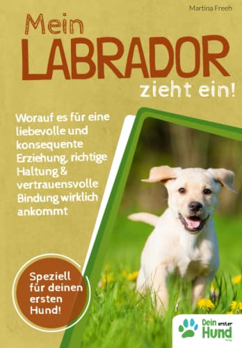 Mein Labrador zieht ein