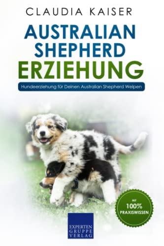 Australian Shepherd Erziehung