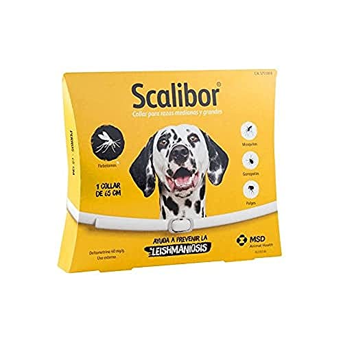 Scalibor Protectorband für Hunde