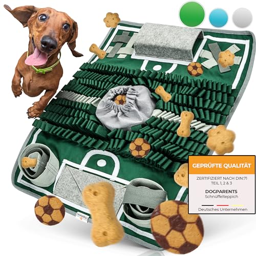 Schnüffelteppich für Hunde als Fußballfeld