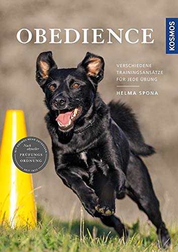Obedience: Verschiedene Trainingsansätze für jede Übung