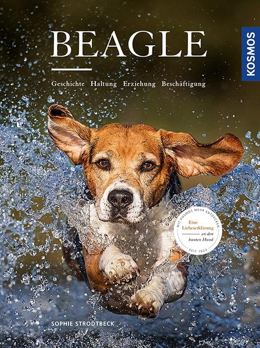 Beagle: Geschichte, Haltung, Erziehung, Beschäftigung