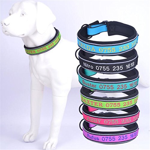 Personalisiertes Hundehalsband – Leuchtet Im Dunkeln, Bestickt Mit Namen & Telefonnummer, Verstellbar Für Alle Größen