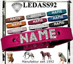 Hundehalsband So findest Du das beste Halsband für Deinen Hund