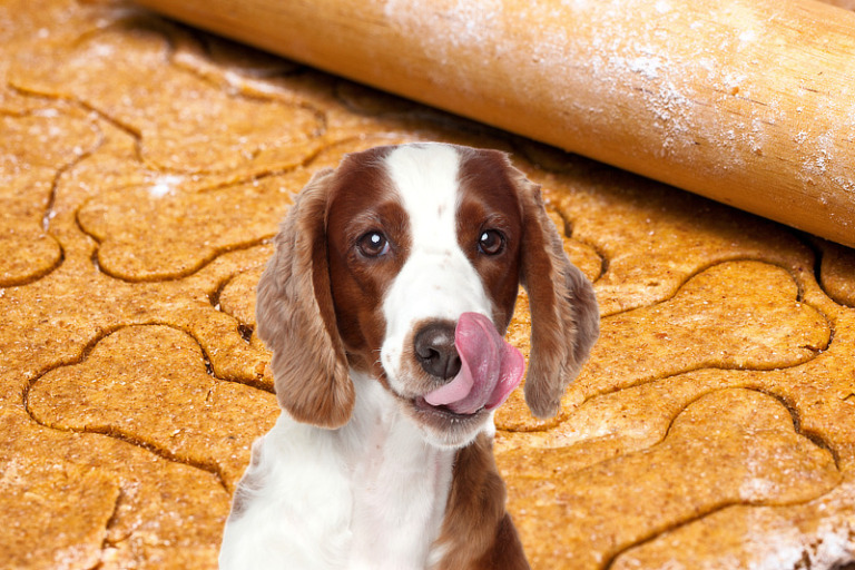 Hundekeks-Rezepte - Hundeleckerlies selber machen und Hundekekse backen