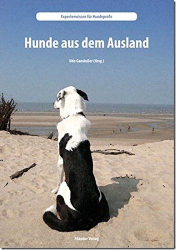 Schlechte Erfahrungen Mit Hunden Aus Dem Ausland Pro und Contra: Hunde aus dem Ausland und wie man sie besser versteht