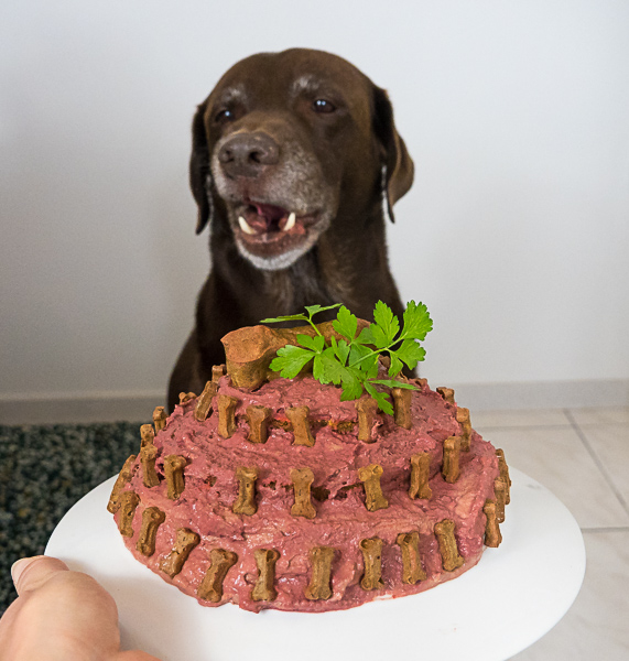 Hunde Leberwurst Torte