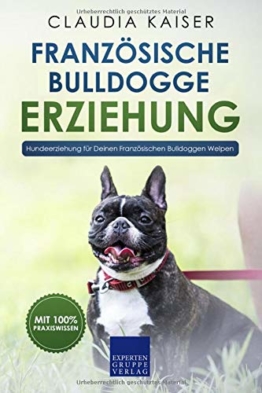 Französische Bulldogge Erziehung