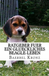 Beagle Erziehung und Eigenschaften des süßen Jagdhundes