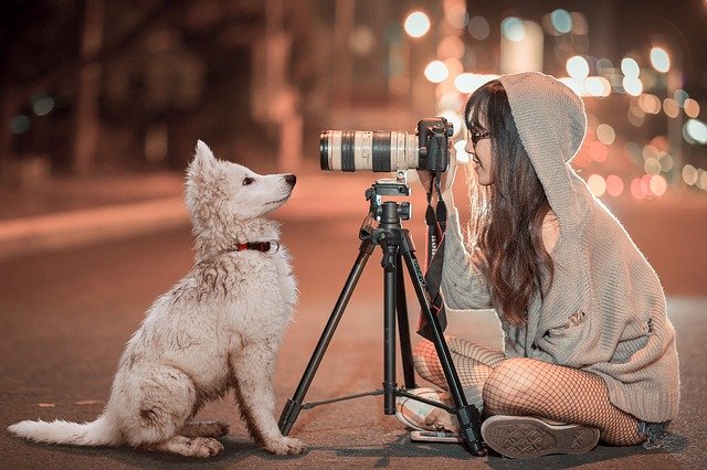 Hundefotograf