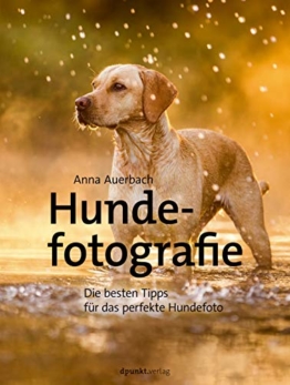 Hundefotografie: Die besten Tipps für das perfekte Hundefoto