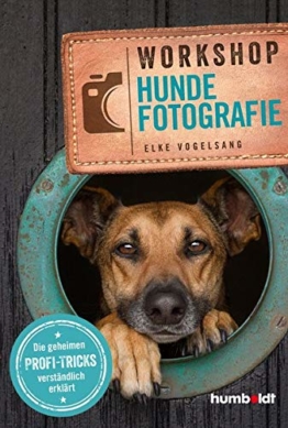 Workshop Hundefotografie: Die geheimen Profi-Tricks verständlich erklärt