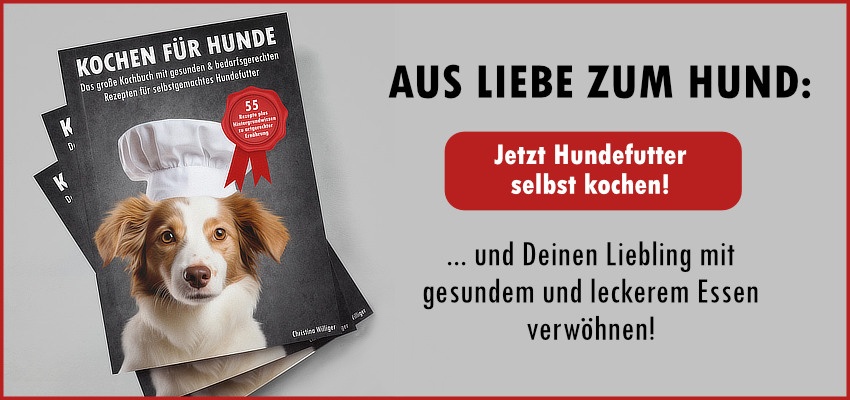 Kochbuch für Hunde Werbebanner