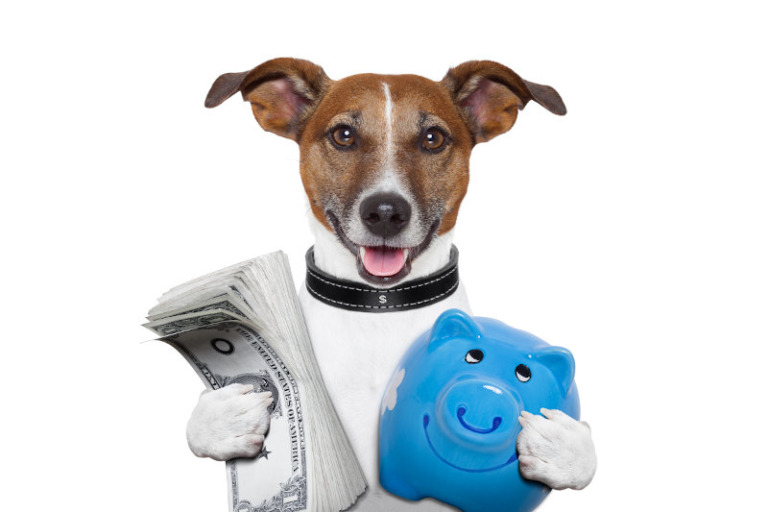 Kosten Hundehaltung