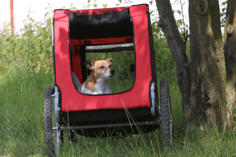 Fahrradanhänger Hund