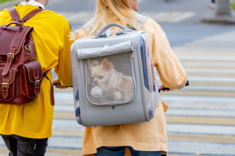 Tragetasche Hund Hunderucksack