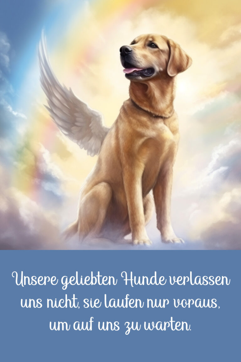 Ich Vermisse Meinen Hund Sprüche Gedichte & Trauersprüche für den Abschied vom Hund
