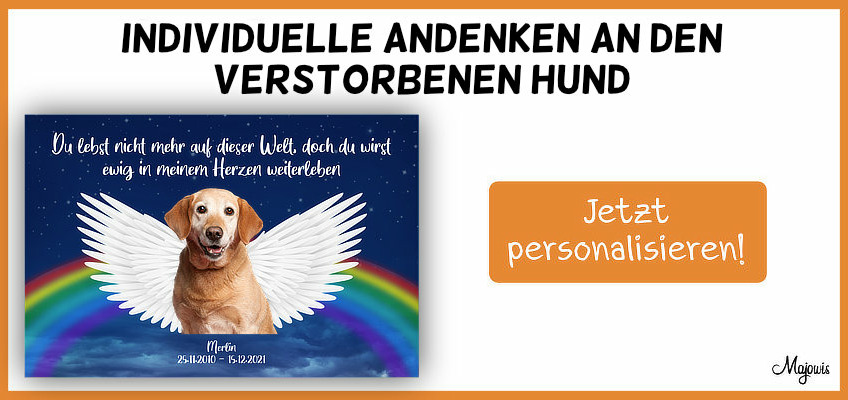 Gedichte & Trauersprüche für den Abschied vom Hund