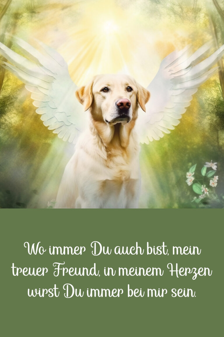 Gedichte & Trauersprüche für den Abschied vom Hund