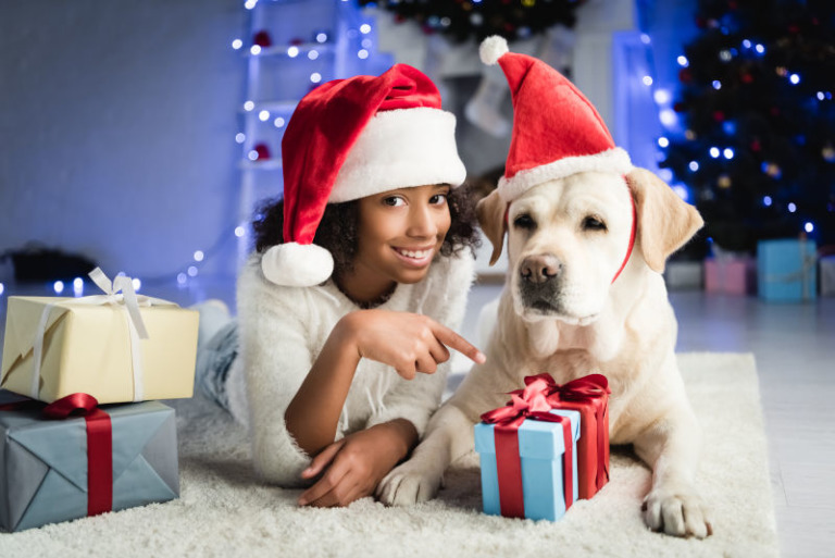 Weihnachtsgeschenke für Hunde