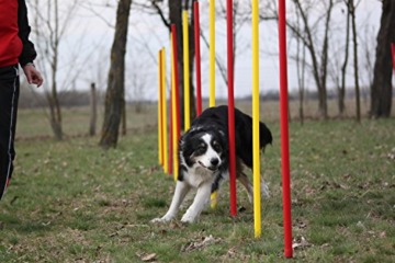 Wuzzmann Agility Beginner-Set Blau/Gelb - Hundesport Set Mit Slalom & Hürden