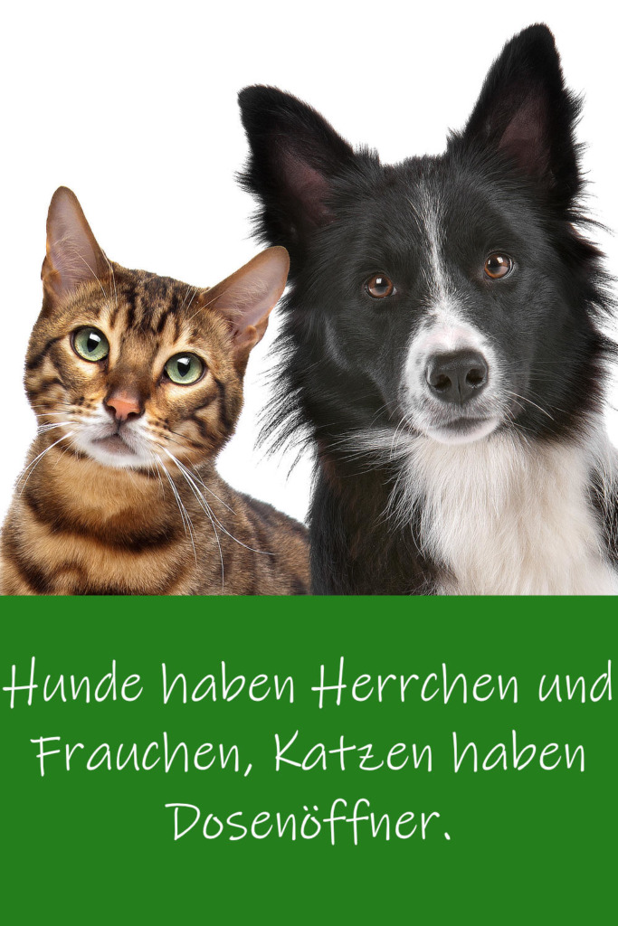 Hundesprüche 100 Sprüche & Zitate zum Thema Hundeliebe