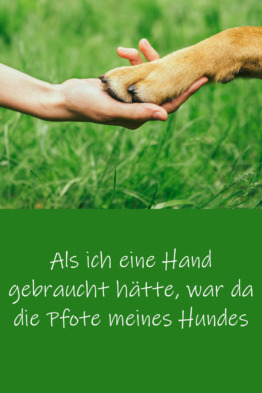 Hundesprüche 100 Sprüche & Zitate zum Thema Hundeliebe