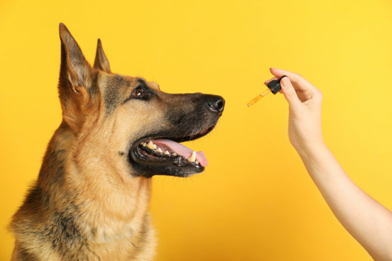 Rescue Tropfen Hund