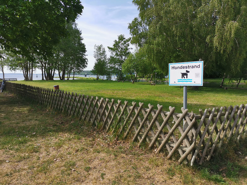 Badestelle für Hunde an der Mecklenburgischen Seenplatte: Hundestrand Lenz (Plauer See)
