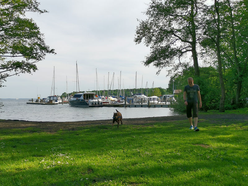 Hundestrand an der Mecklenburgischen Seenplatte