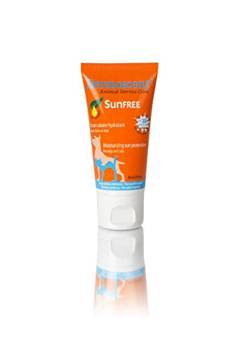 Sonnencreme für Hunde - hund-als-haustier.de