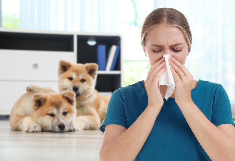 Allergie gegen Hunde - Symptome sind vielfältig