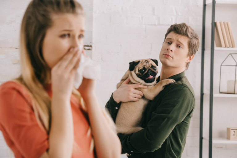 Hundeallergie - Welche Hunderasse eignet sich für Allergiker