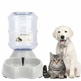 Wasserspender für Hunde