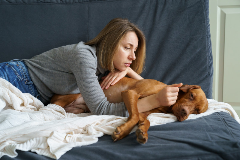 Ulmenrinde wird bei Hunden gegen Sodbrennen und Gastritis eingesetzt