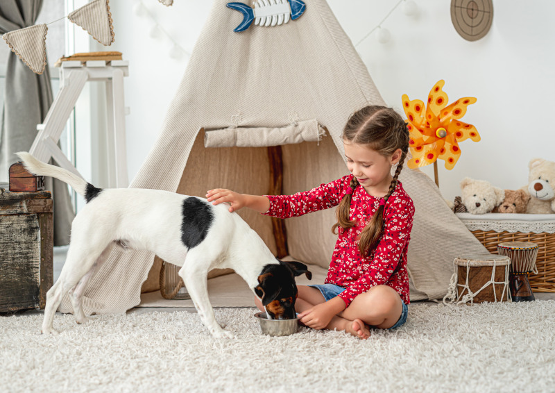 Tipi-Zelte sind sowohl bei Hunden als auch bei Kindern beliebt