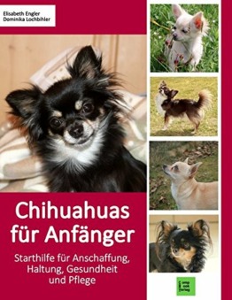 Chihuahuas für Anfänger: Starthilfe für Anschaffung, Haltung, Gesundheit und Pflege