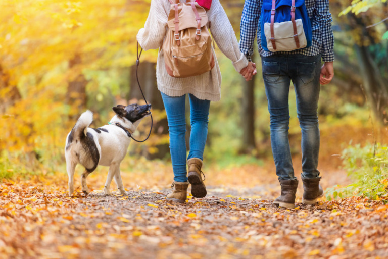 Wandern mit Hund