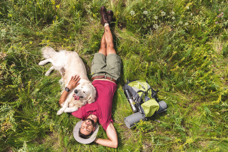 Wanderungen mit Hund bedeuten Spaß für Hund und Halter