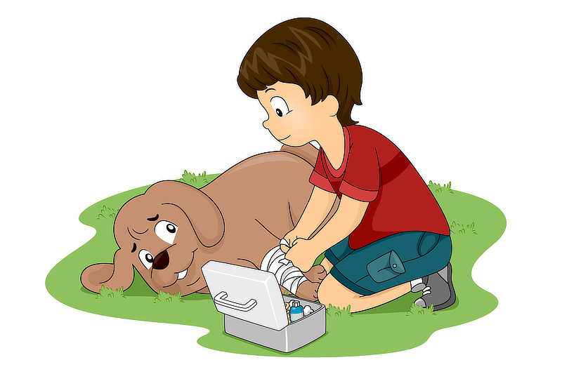 Erste-Hilfe-Maßnahmen für Hunde - Könntest Du Deinem Hund im Notfall helfen