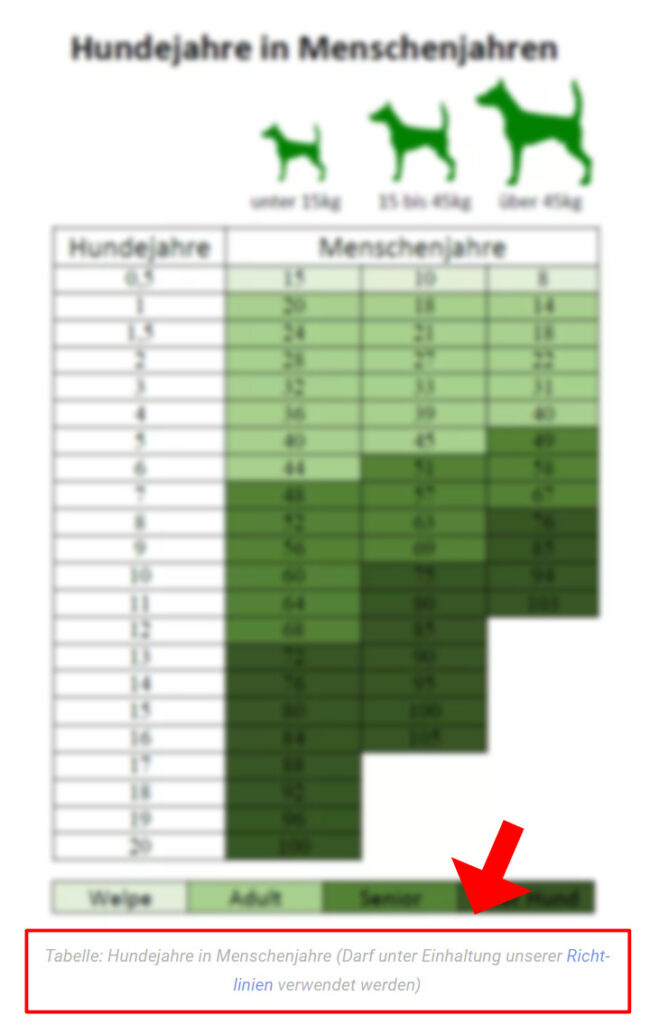 Beispiel-Grafik auf Hund-als-Haustier.de