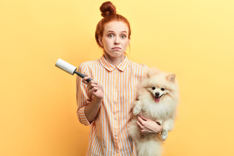 Hundehaare entfernen - Tipps & Tricks zur Entfernung von Tierhaaren
