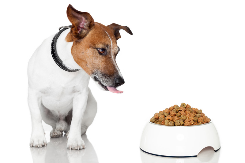 Gründe für Hundefutter von schwedischen Futterherstellern