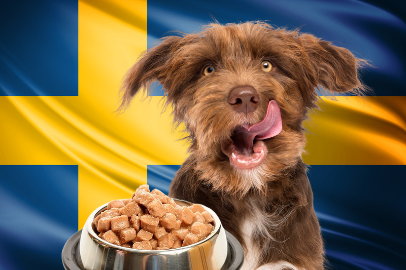 Schwedisches Hundefutter